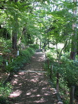 あじさい道0601-1