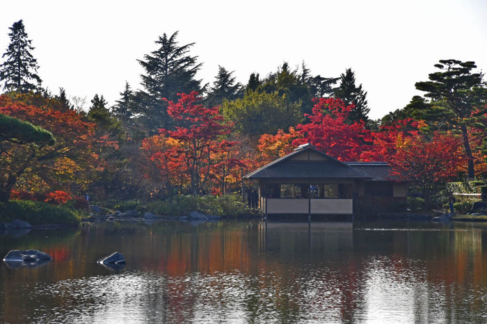 昭和記念公園201711