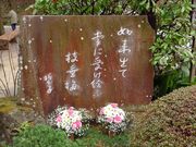 高幡不動尊枝垂梅-小1