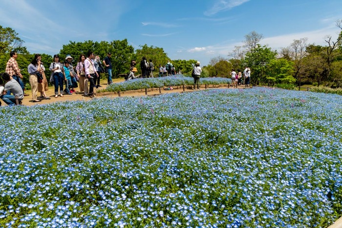 昭和記念公園201905