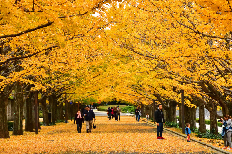 昭和記念公園201611