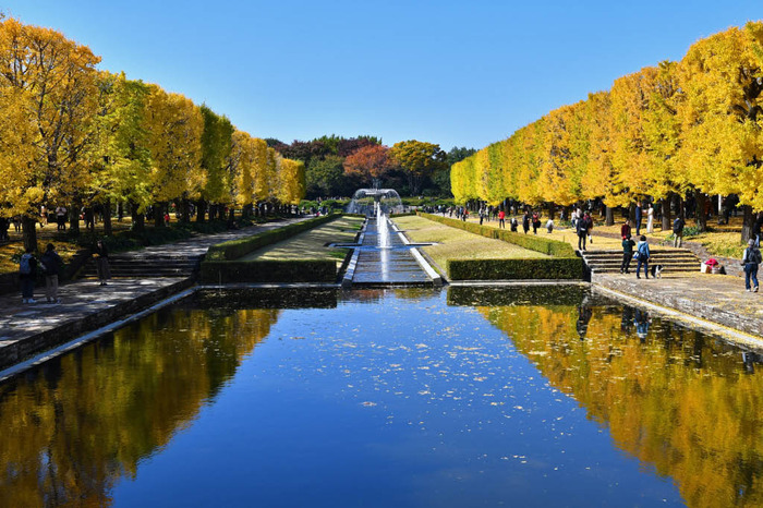 昭和記念公園201711