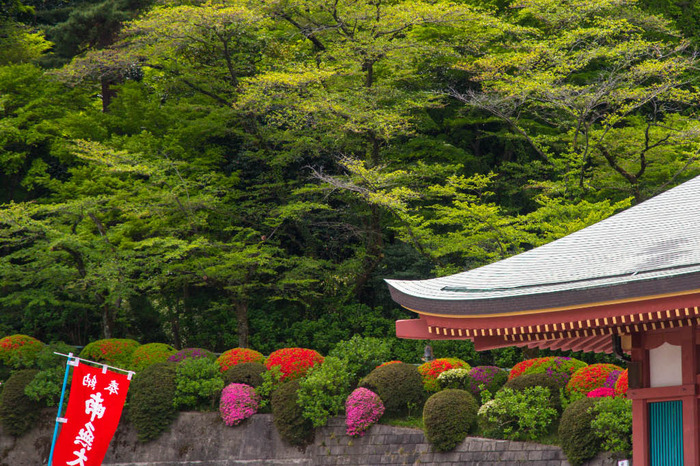 高幡不動尊201804