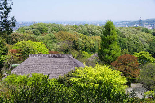 百草園新緑まつり-5