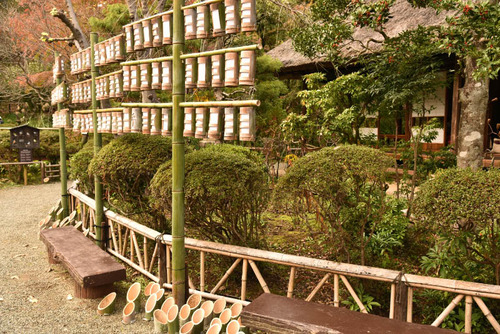 京王百草園2015-2