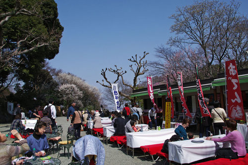 百草園梅まつり201003-2