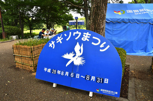 昭和記念公園201608-8