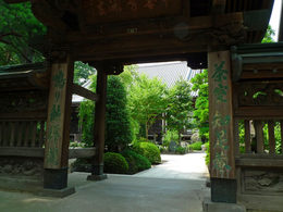 高幡不動尊090822-4