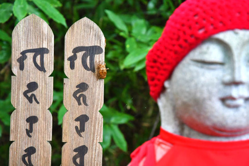 高幡不動尊201608-2