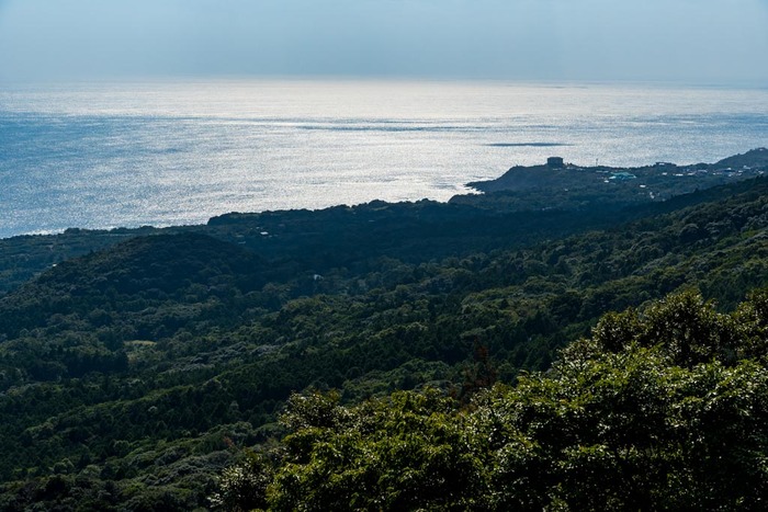 屋久島201810