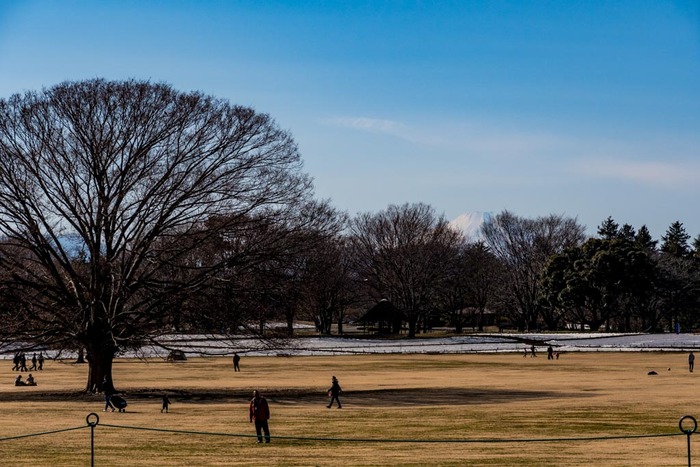 昭和記念公園201901