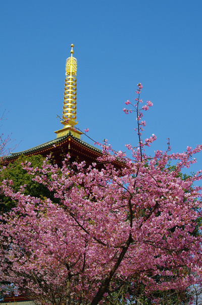 高幡不動201303-10