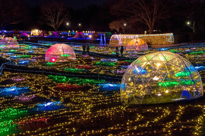 昭和記念公園ジュエルイルミネーション2017