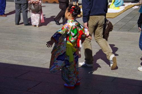 高幡不動201111-10