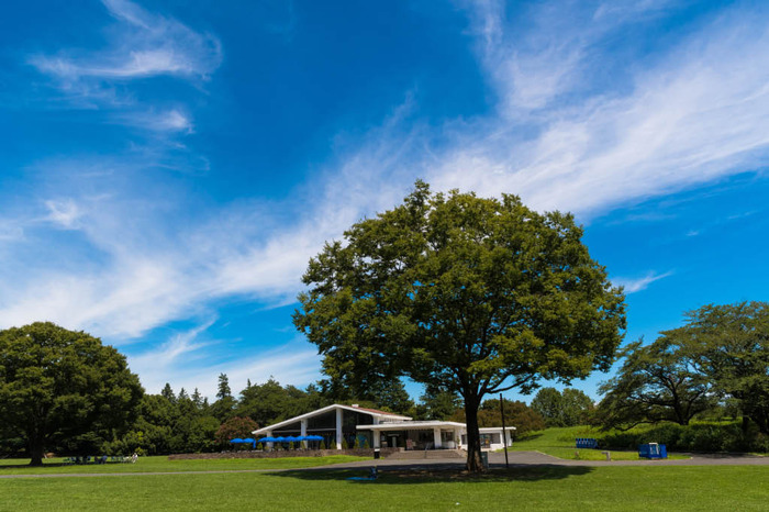 昭和記念公園201808