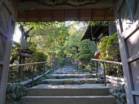 秋の百草園200910-1