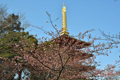 高幡不動尊201602-7