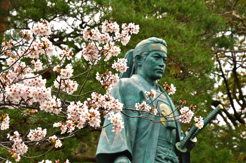高幡不動尊201704