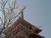 ¹âȨÉÔÆ°Âº090207-2