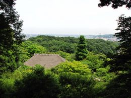 百草園090523-3