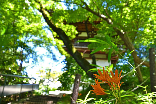 高幡不動尊201607-5