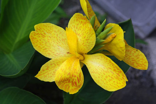 ����ƻ�β�201006-10