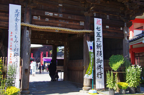高幡不動201111-1
