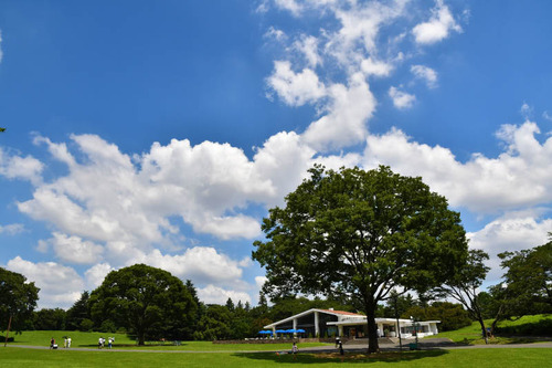昭和記念公園201607-1