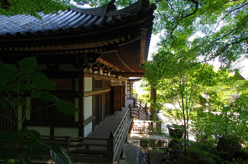 高幡不動201309-7