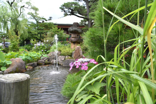 高幡不動尊201506-11