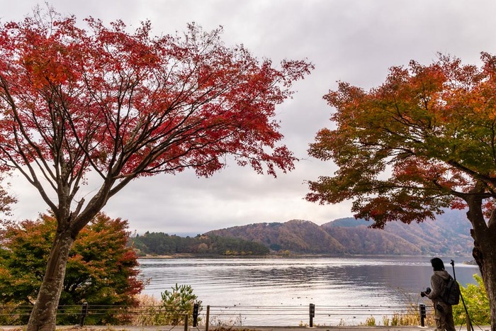 河口湖紅葉2018