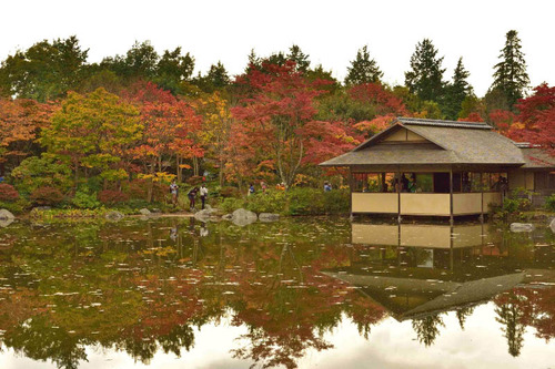 昭和記念公園201511-3