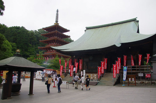 高幡不動あじさい祭り201106-1