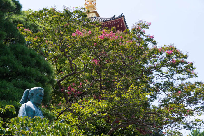 高幡不動尊201808