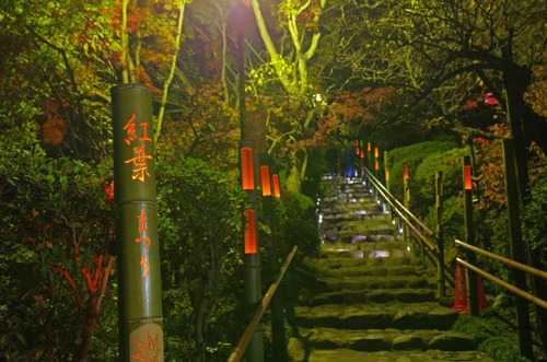 京王百草園201411-3