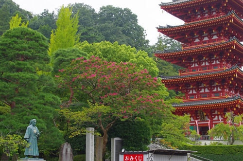 高幡不動201309-11
