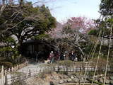 百草園内散策4