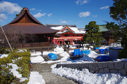 高幡不動201402-12