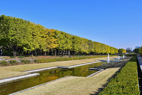 昭和記念公園201611