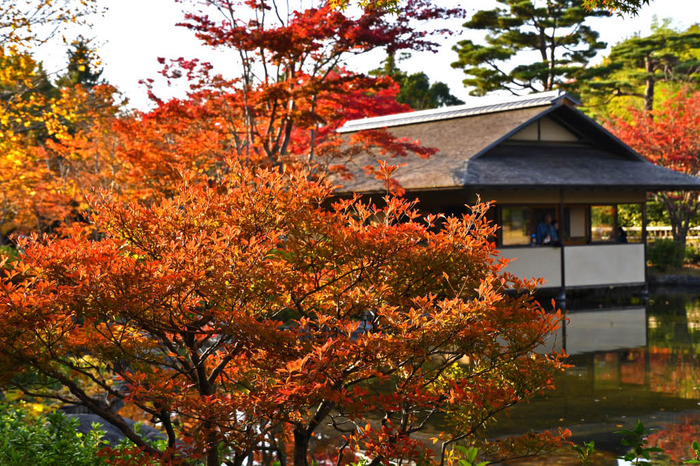 昭和記念公園201711