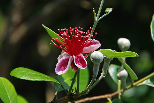 ɴ���201006-2