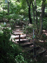 あじさい道0601-2