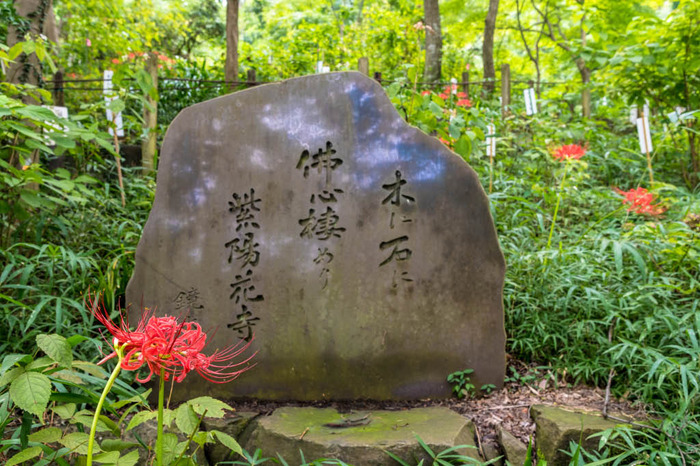 高幡不動尊201809