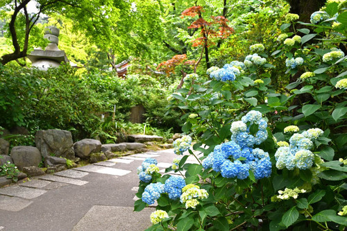 高幡不動尊201605-3