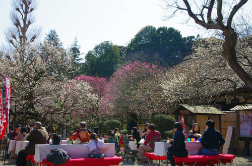 京王百草園201403-12