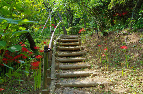 京王百草園201309-3