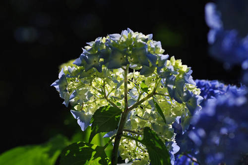 ɴ���201006-9