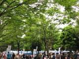 日野新撰組祭り1−4