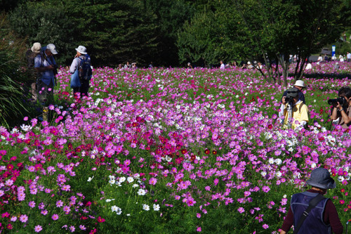 昭和記念公園201010-3