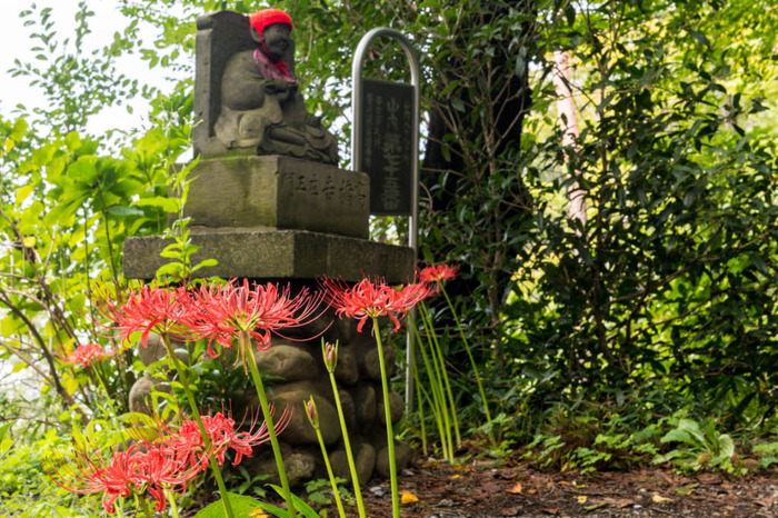高幡不動尊201809